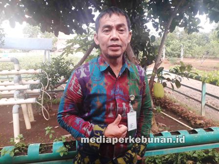 Kepala BPP Lampung, Dadan Sunarsa 