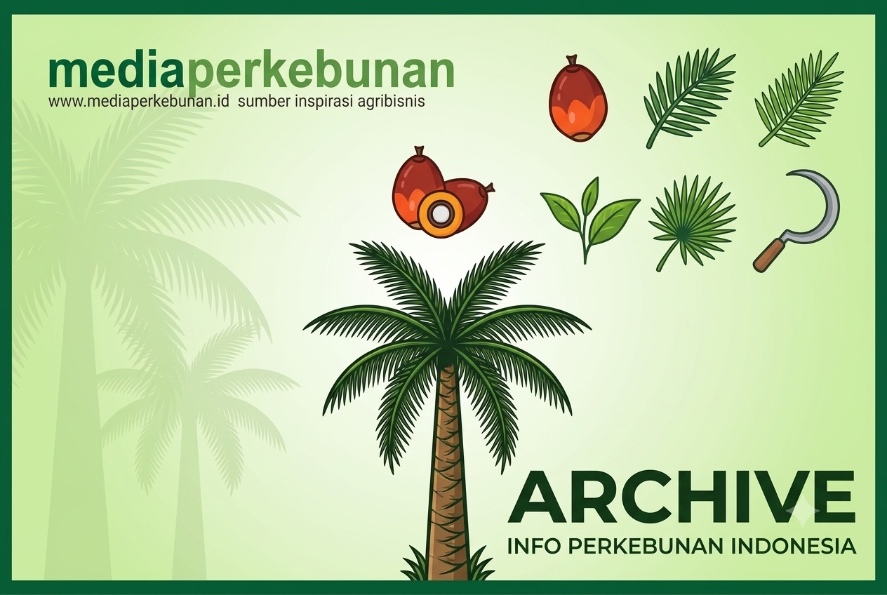 Harga Sawit Sempat Tertekan, PTPN IV PalmCo Jaga Serapan TBS Petani Sesuai Aturan
